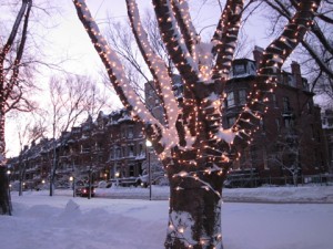 treelights
